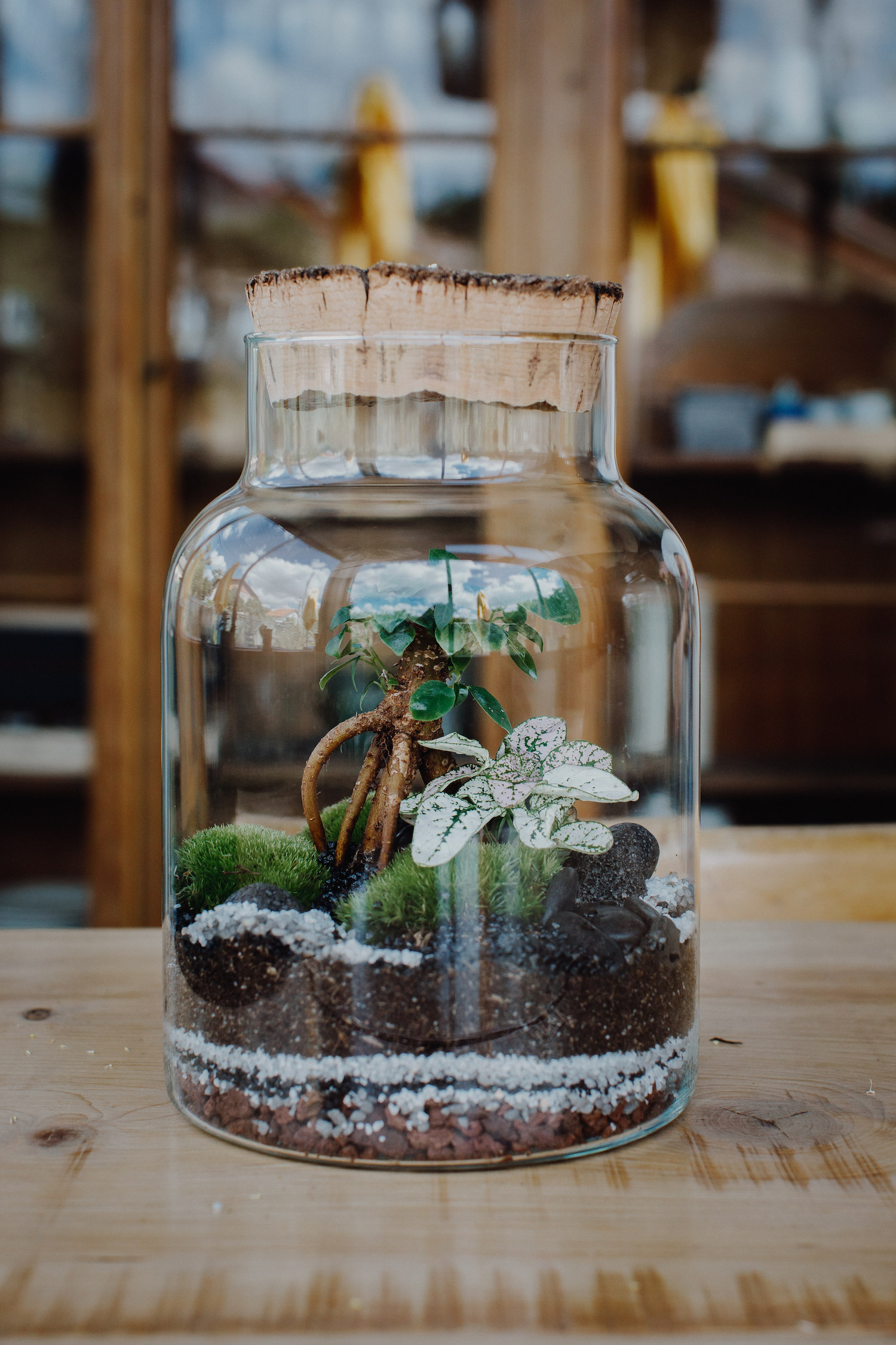 Terrarium - modèle Cork - small